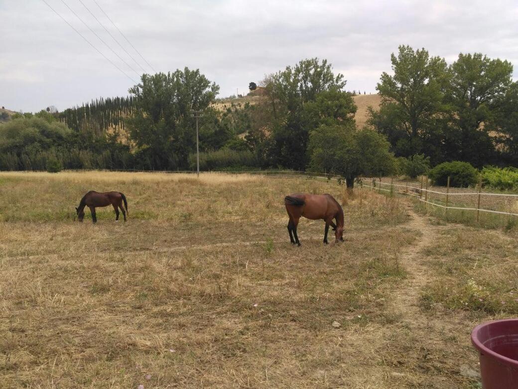 Casa Vacanze Santa Maria Certaldo Dış mekan fotoğraf